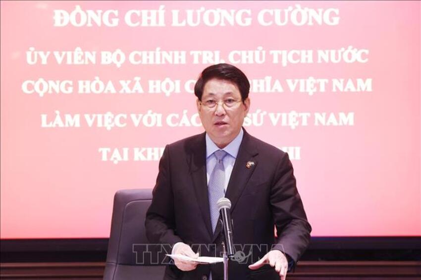 Chủ tịch nước làm việc với các Đại sứ Việt Nam tại châu Phi