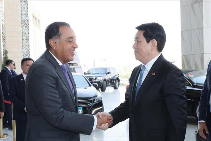 Chủ tịch nước Lương Cường hội kiến Thủ tướng Ai Cập Mostafa Madbouly