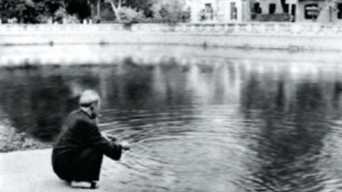 Ao cá Bác Hồ