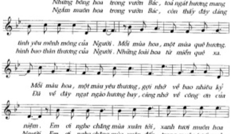 Những bông hoa trong vườn Bác