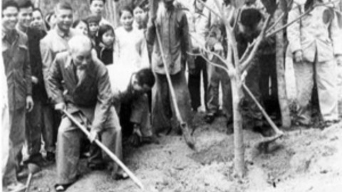 Bác Hồ ơi mùa xuân nay đẹp lắm