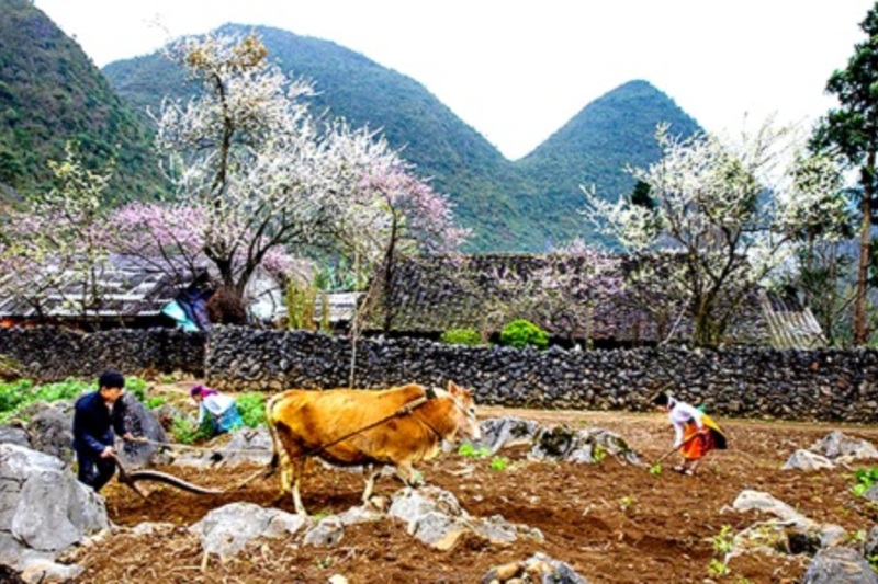 Học Bác về tự lực, tự cường để Hà Giang phát triển bền vững