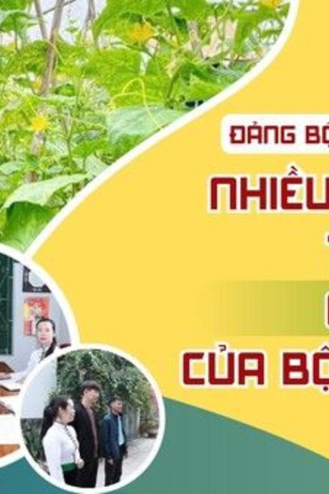 Tổng tiến công và nổi dậy Mậu Thân 1968 - Giá trị lịch sử