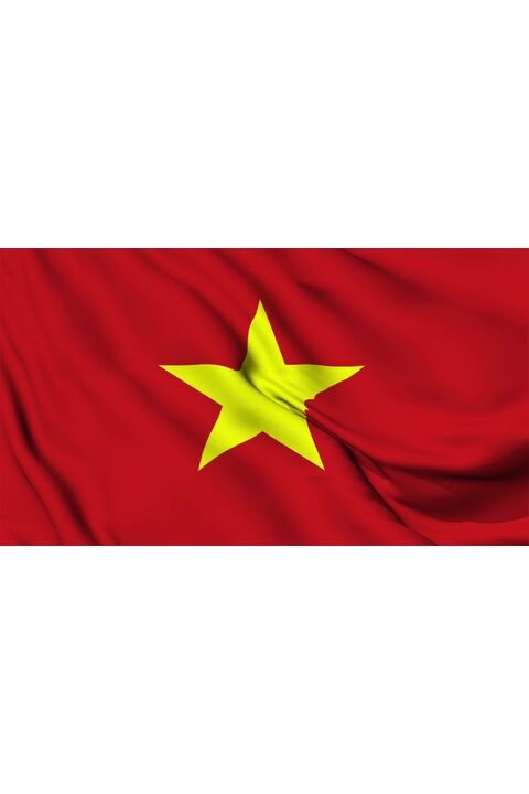 Hoạt động Đảng